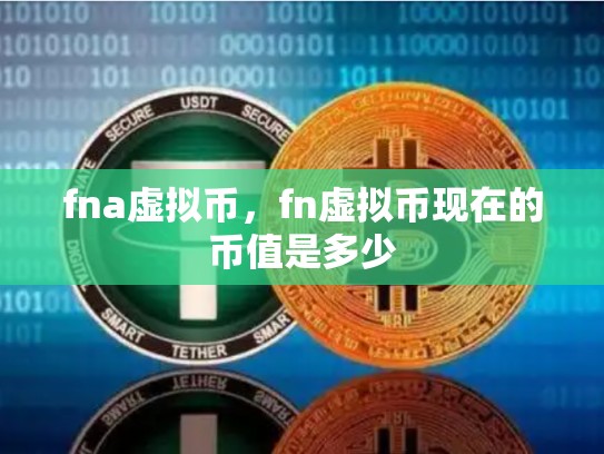 fna虚拟币，fn虚拟币现在的币值是多少