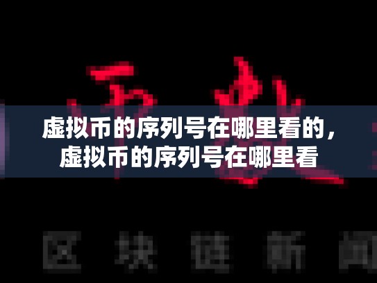 虚拟币的序列号在哪里看的，虚拟币的序列号在哪里看-第1张图片-币数通