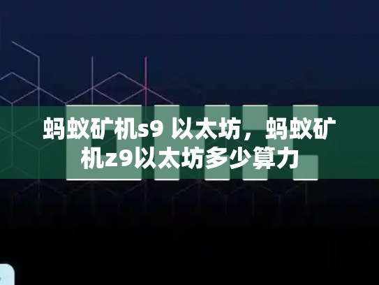 蚂蚁矿机s9 以太坊，蚂蚁矿机z9以太坊多少算力-第1张图片-币数通