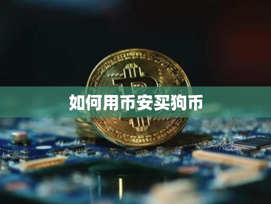 如何用币安买狗币