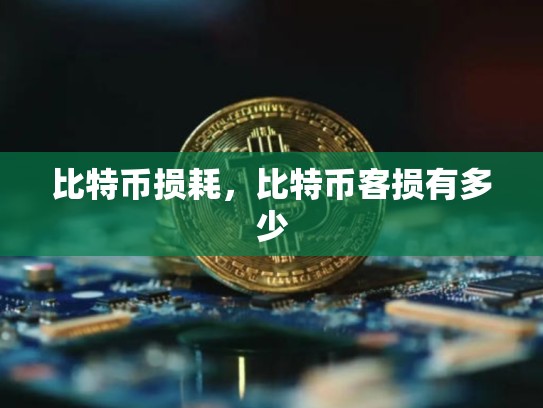 比特币损耗，比特币客损有多少-第1张图片-币数通