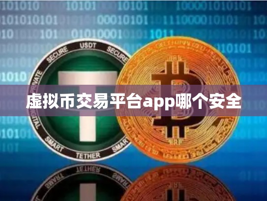 虚拟币交易平台app哪个安全-第1张图片-币数通