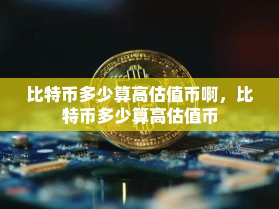 比特币多少算高估值币啊，比特币多少算高估值币