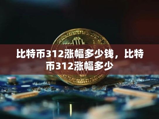 比特币312涨幅多少钱，比特币312涨幅多少