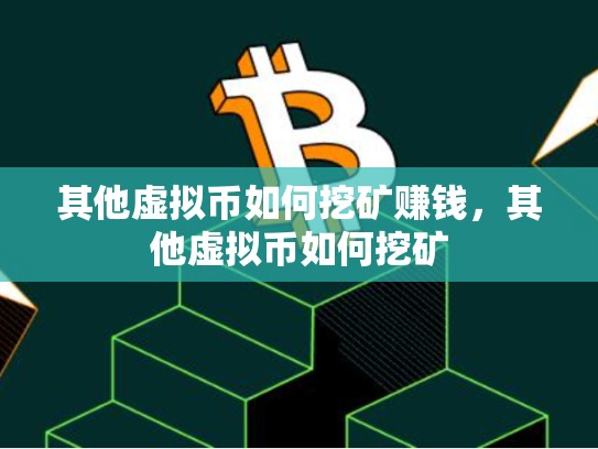 其他虚拟币如何挖矿赚钱，其他虚拟币如何挖矿-第1张图片-币数通