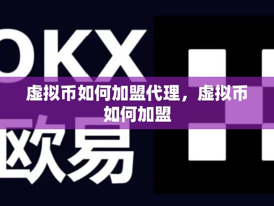 虚拟币如何加盟代理，虚拟币如何加盟-第1张图片-币数通
