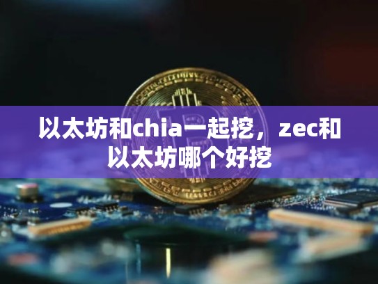 以太坊和chia一起挖，zec和以太坊哪个好挖