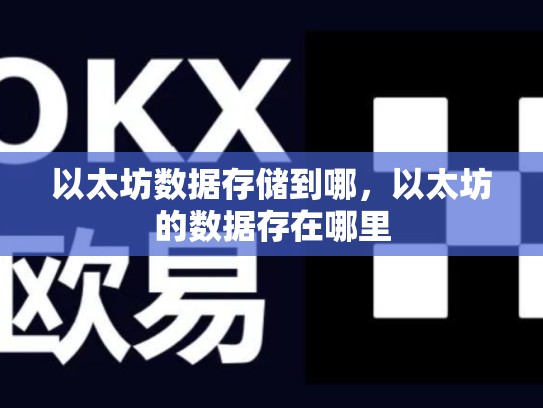 以太坊数据存储到哪，以太坊的数据存在哪里