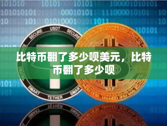比特币翻了多少呗美元，比特币翻了多少呗