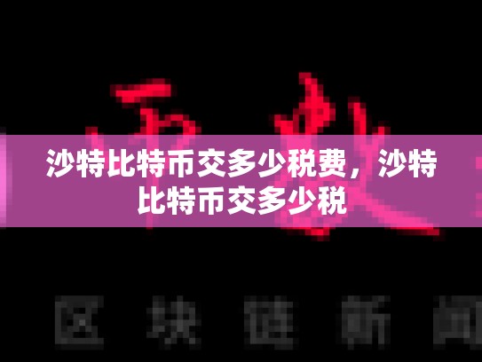 沙特比特币交多少税费，沙特比特币交多少税-第1张图片-币数通