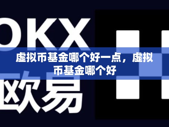 虚拟币基金哪个好一点，虚拟币基金哪个好-第1张图片-币数通