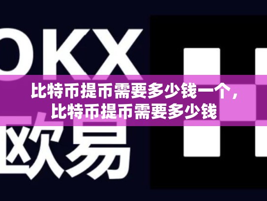 比特币提币需要多少钱一个，比特币提币需要多少钱-第1张图片-币数通