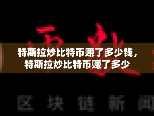 特斯拉炒比特币赚了多少钱，特斯拉炒比特币赚了多少-第1张图片-币数通