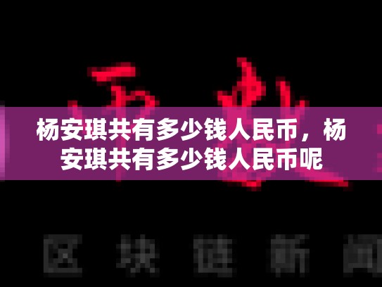 杨安琪共有多少钱人民币，杨安琪共有多少钱人民币呢