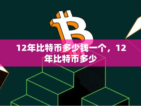12年比特币多少钱一个，12年比特币多少