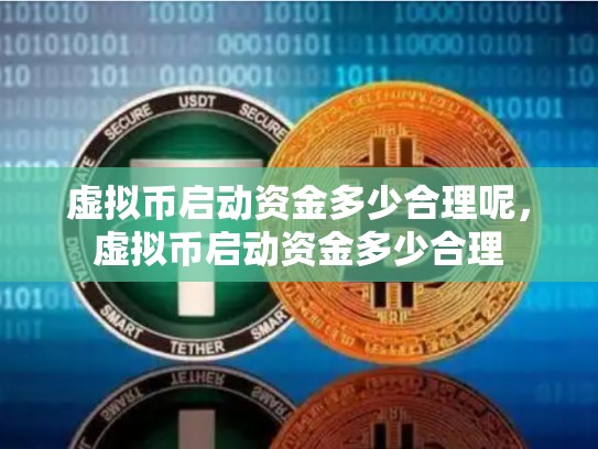 虚拟币启动资金多少合理呢，虚拟币启动资金多少合理-第1张图片-币数通