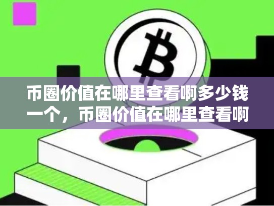 币圈价值在哪里查看啊多少钱一个，币圈价值在哪里查看啊多少钱-第1张图片-币数通