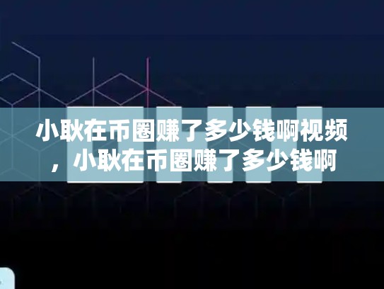 小耿在币圈赚了多少钱啊视频，小耿在币圈赚了多少钱啊-第1张图片-币数通