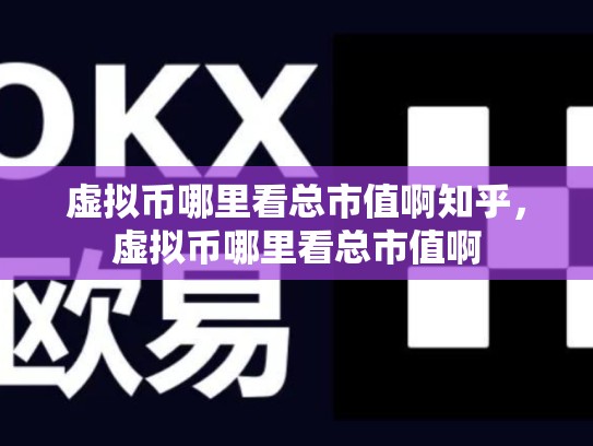 虚拟币哪里看总市值啊知乎，虚拟币哪里看总市值啊-第1张图片-币数通
