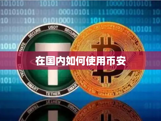 在国内如何使用币安-第1张图片-币数通