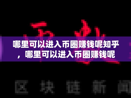 哪里可以进入币圈赚钱呢知乎，哪里可以进入币圈赚钱呢