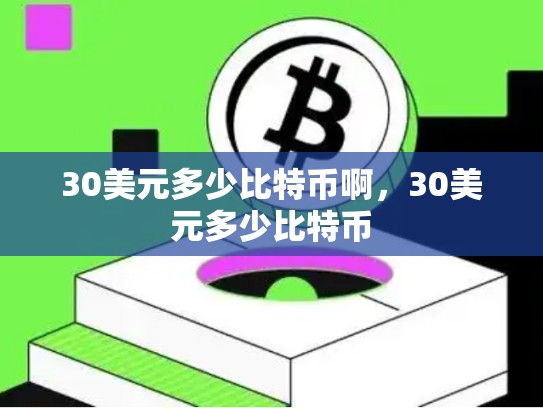 30美元多少比特币啊，30美元多少比特币