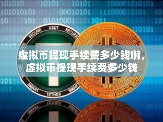 虚拟币提现手续费多少钱啊，虚拟币提现手续费多少钱