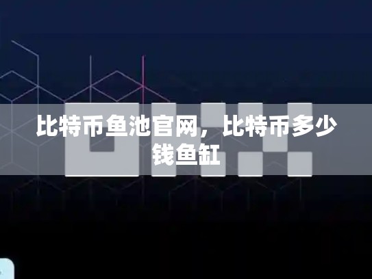 比特币鱼池官网，比特币多少钱鱼缸