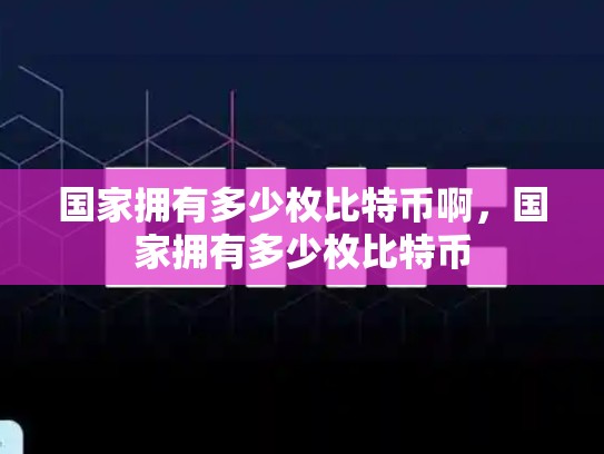 国家拥有多少枚比特币啊，国家拥有多少枚比特币