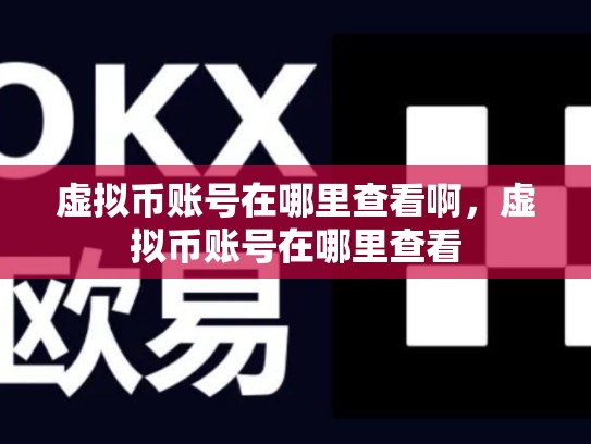 虚拟币账号在哪里查看啊，虚拟币账号在哪里查看