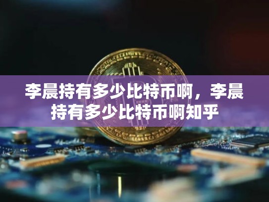 李晨持有多少比特币啊，李晨持有多少比特币啊知乎