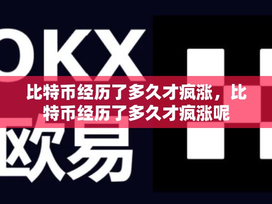 比特币经历了多久才疯涨，比特币经历了多久才疯涨呢