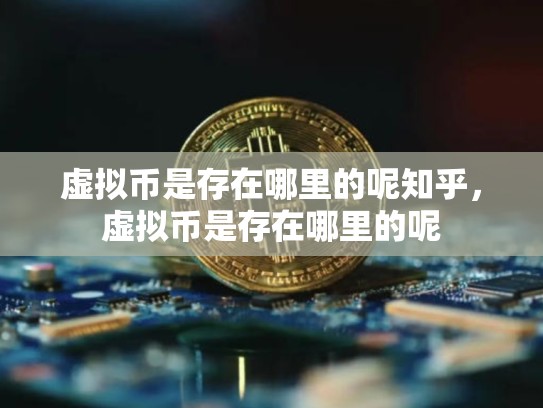虚拟币是存在哪里的呢知乎，虚拟币是存在哪里的呢-第1张图片-币数通