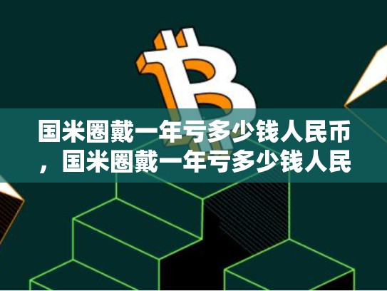 国米圈戴一年亏多少钱人民币，国米圈戴一年亏多少钱人民币