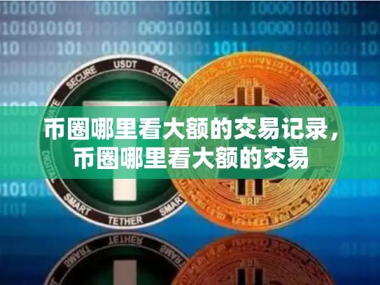 币圈哪里看大额的交易记录，币圈哪里看大额的交易