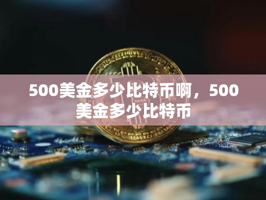 500美金多少比特币啊，500美金多少比特币-第1张图片-币数通