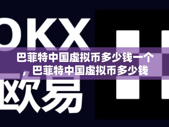 巴菲特中国虚拟币多少钱一个，巴菲特中国虚拟币多少钱-第1张图片-币数通