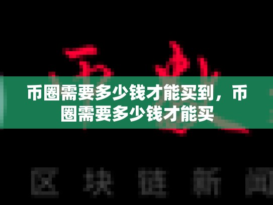 币圈需要多少钱才能买到，币圈需要多少钱才能买