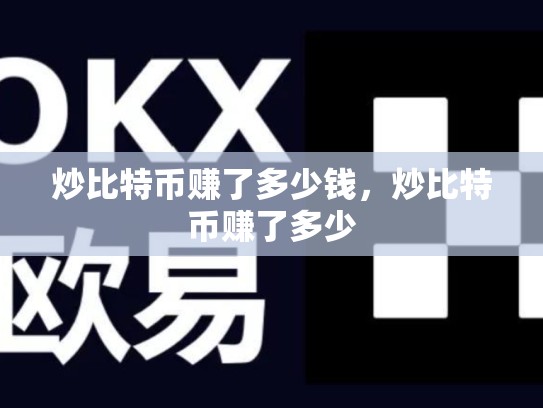 炒比特币赚了多少钱，炒比特币赚了多少