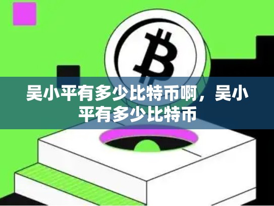 吴小平有多少比特币啊，吴小平有多少比特币