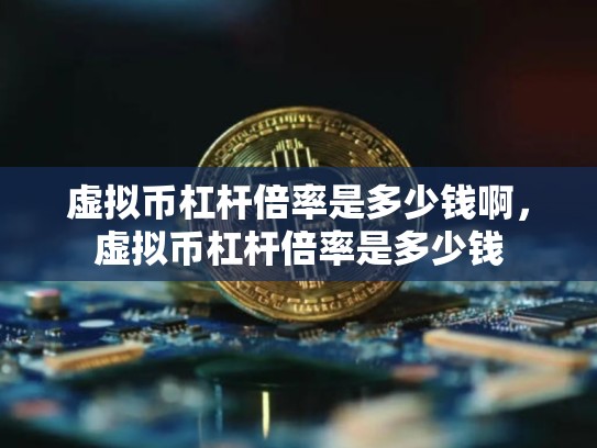 虚拟币杠杆倍率是多少钱啊，虚拟币杠杆倍率是多少钱