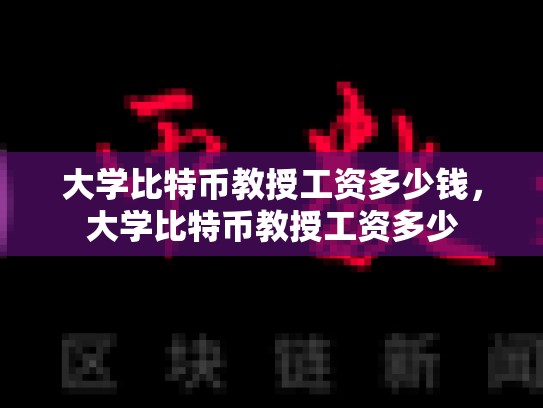 大学比特币教授工资多少钱，大学比特币教授工资多少