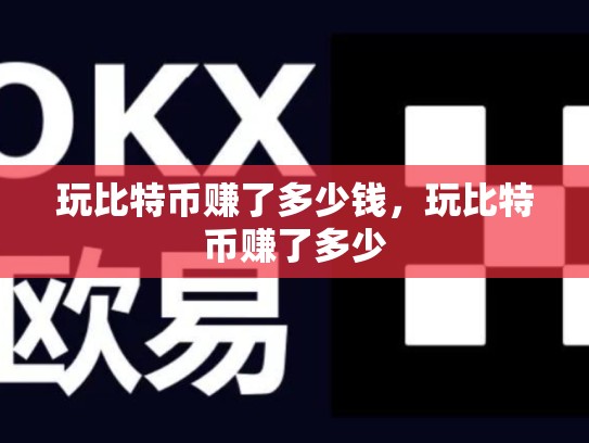 玩比特币赚了多少钱，玩比特币赚了多少
