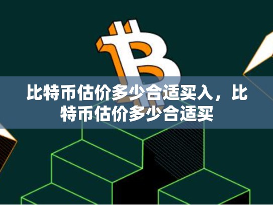 比特币估价多少合适买入，比特币估价多少合适买