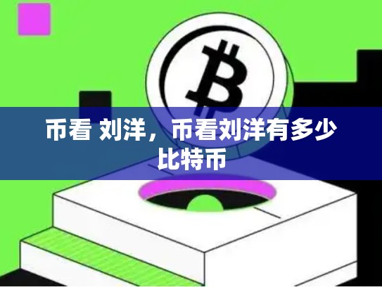 币看 刘洋，币看刘洋有多少比特币