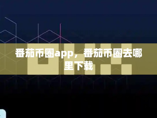 番茄币圈app，番茄币圈去哪里下载