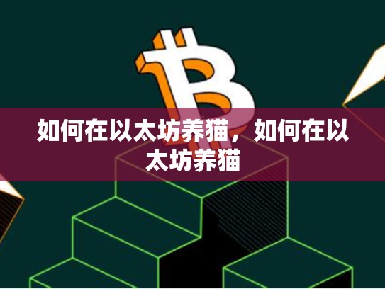 如何在以太坊养猫，如何在以太坊养猫