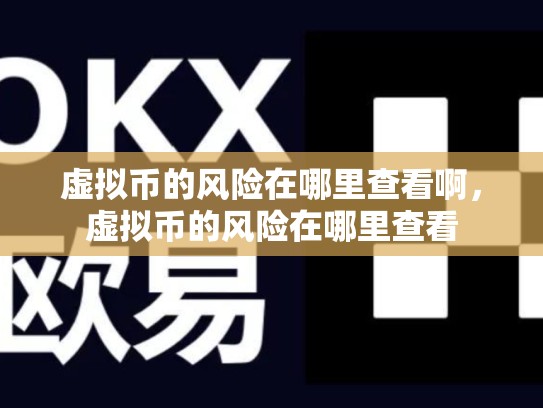 虚拟币的风险在哪里查看啊，虚拟币的风险在哪里查看