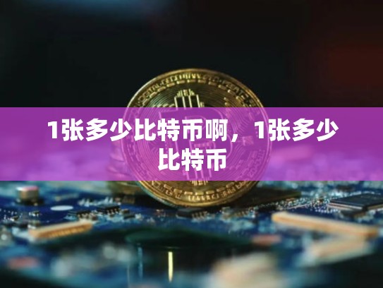 1张多少比特币啊，1张多少比特币