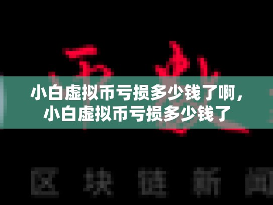 小白虚拟币亏损多少钱了啊，小白虚拟币亏损多少钱了